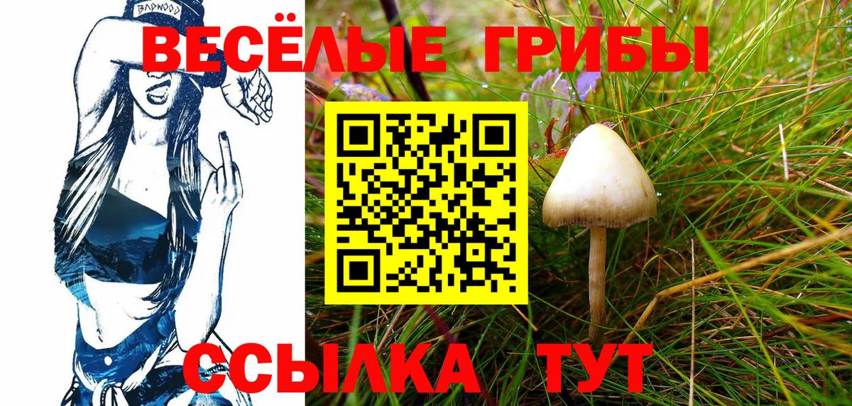Фролово  Псилоцибиновые грибы GOLDEN TEACHER  Вход с VPN 